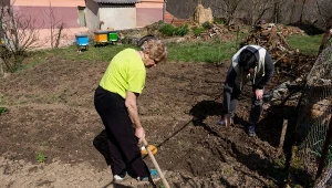 Sprawdź, jak przygotować glebę pod uprawę warzyw. Plony będą zdrowe i obfite.