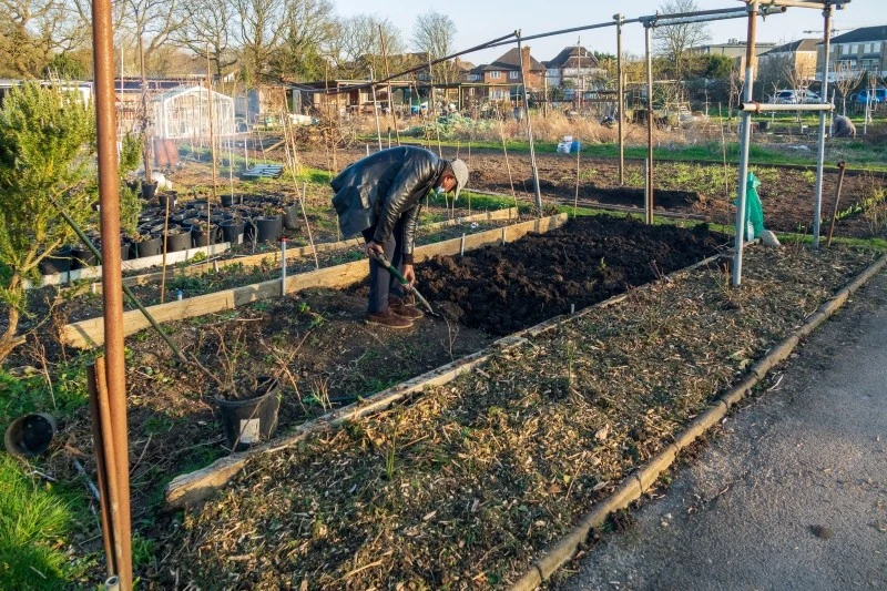 Jakość gleby bezpośrednio wpływa na wysokość plonów