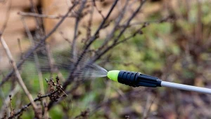 Lecytyna w skuteczny i przyjazny dla środowiska sposób walczy ze szkodliwymi grzybami drzew i krzewów.