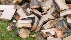 Za palenie mokrym drewnem w kominku można dostać karę.