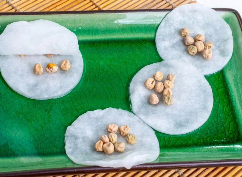 Namaczanie nasion inicjuje procesy kiełkowania, dlatego po wyjęciu ich z roztworu rumiankowego od razu przejdź do wysiewu na rozsadę