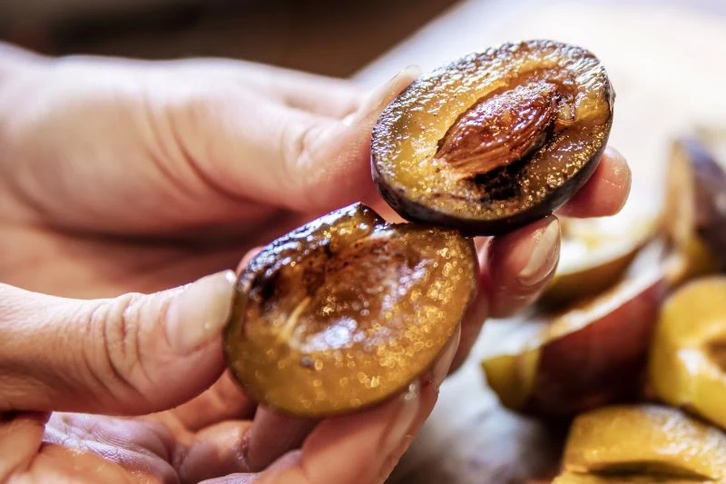 Opaski z tektury falistej pomogą zwalczyć owocówkę śliwkóweczkę, szkodnika śliwy