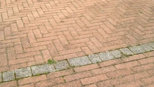 Sprawdź, jak pozbyć się mchu z kostki brukowej po zimie. Ten środek działa lepiej niż ocet.