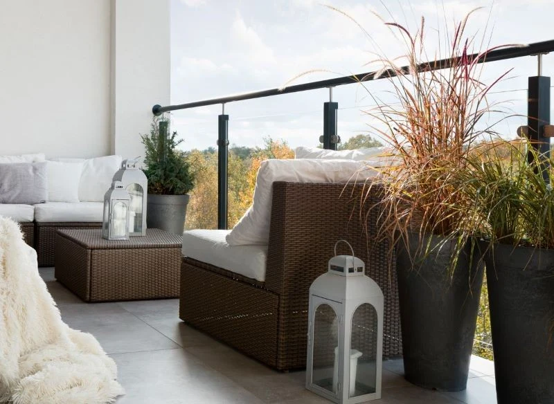 Jesienny taras mogą dekorować pojedyncze rośliny: iglaki i trawy ozdobne