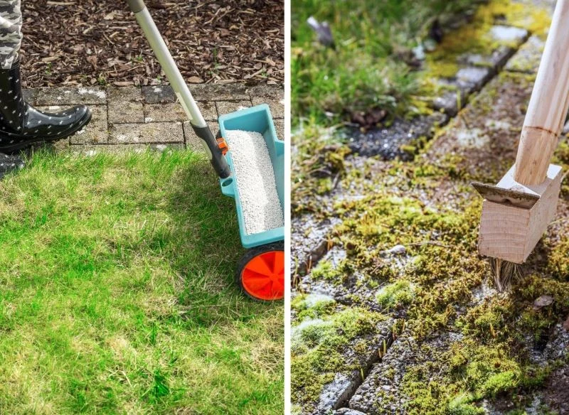 Usuwanie trawy spomiędzy kostki na ścieżce nie jest skomplikowane, wystarczy motyka ogrodowa i zmiotka