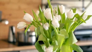 Nie wiesz, co zrobić, żeby tulipany dłużej stały? Trik z lodem to rewelacyjny sposób na poprawę ich kondycji.