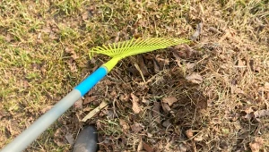 Zanim wysiejemy trawę, trzeba dobrze oczyścić trawnik?