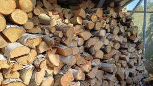 Jakie drewno pali się najdłużej? Niektóre gatunki nadają się lepiej na rozpałkę, inne do późniejszego ogrzewania./deccoria.pl