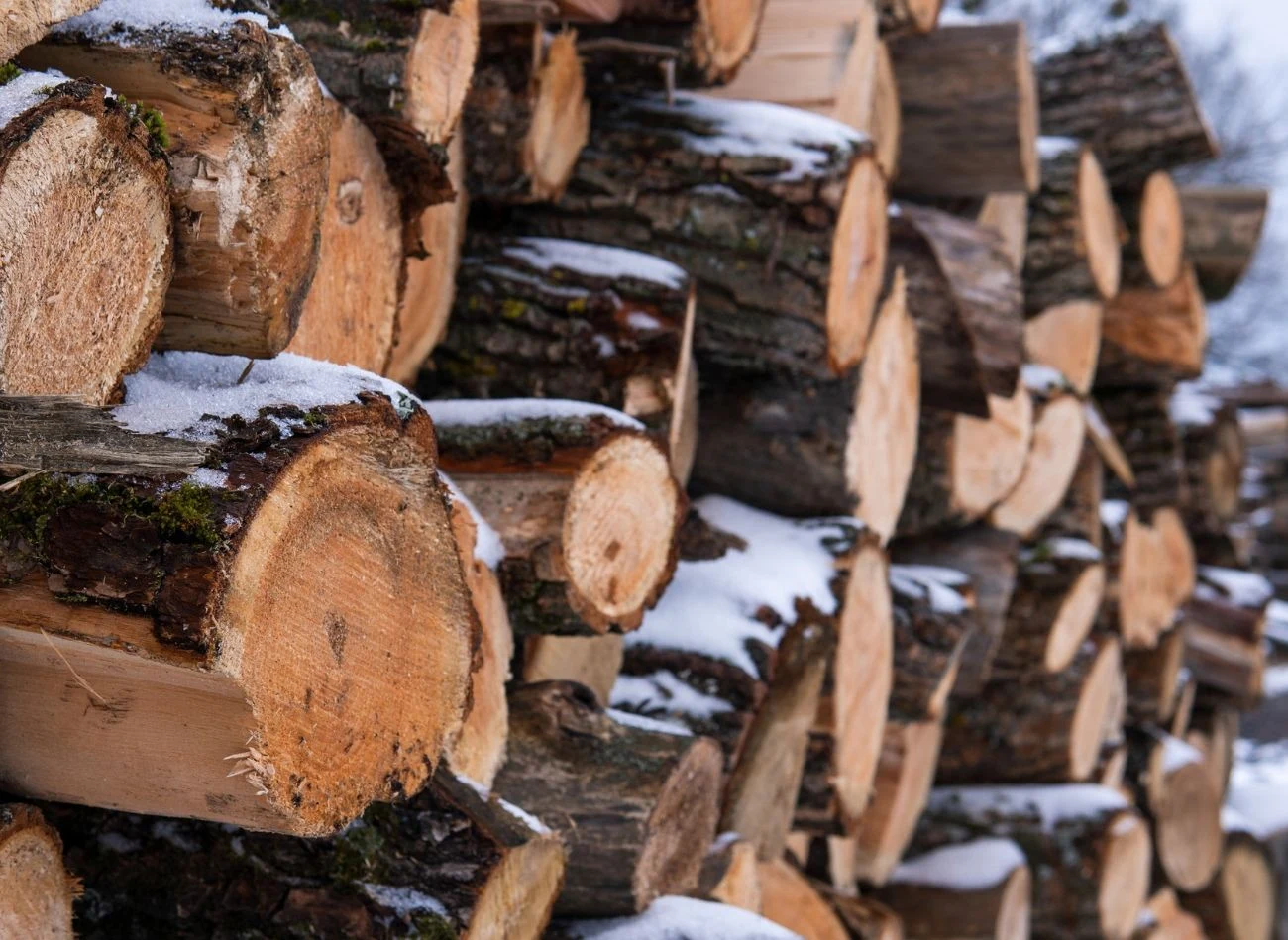 Wilgotność drewna znacząco wpływa na jego wagę.