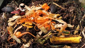 Jak kompostować kartony?  Nie wszystkie jego rodzaje się do tego nadają.