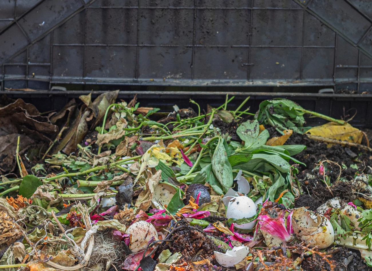 Kartony dorzucone do kompostownika poprawiają strukturę kompostu, a co za tym idzie również gleby.