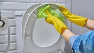 Deska sedesowa bez żółtych zacieków. Ten duet działa lepiej niż ocet