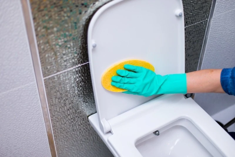 Na desce sedesowej gromadzi się mnóstwo bakterii, dlatego należy pamiętać o jej regularnym czyszczeniu