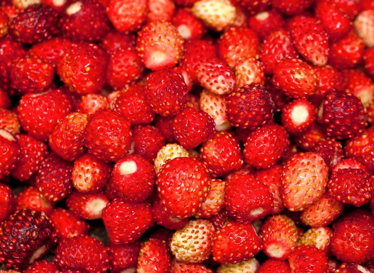 Poziomki, oprócz tego, ze maja dużo witamin, posiadają również właściwości przeciwzapalne, napotne i przyspiesza przemianę materii.