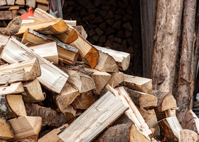 Cena drewna opałowego zależy od jego gatunku oraz stopnia wysuszenia