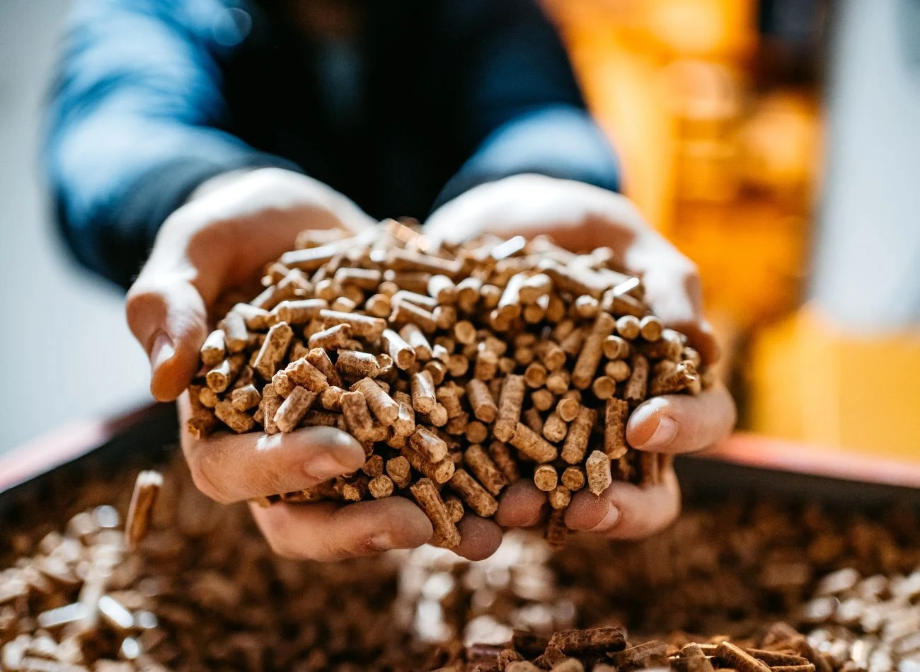 Pellet jest ekologicznym i ekonomicznym źródłem ogrzewania, dlatego jest coraz częściej wybierany do palenia w domach.
