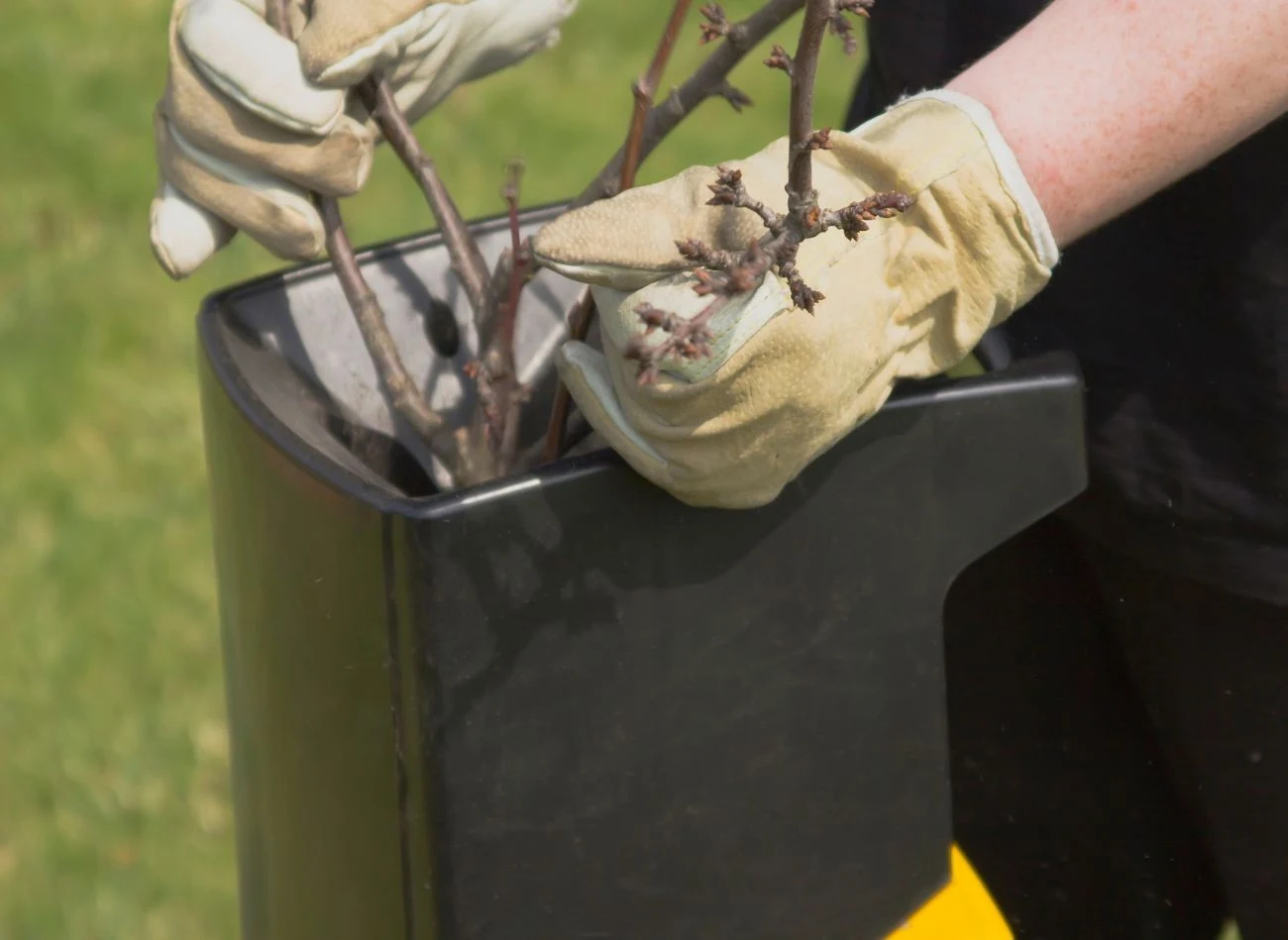 Gałęzie po ścięciu można rozdrobnić i przygotować z nich naturalny nawóz do wiosennego ogrodu.
