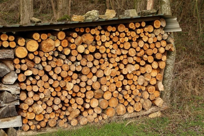 Jakie drewno do kominka jest najlepsze
