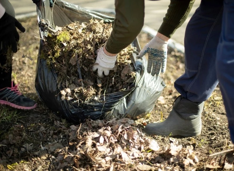 Luty to miesiąc, w którym rozpoczynamy prace porządkowe w ogrodzie warzywnym