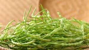 Rzodkiew wężowa jest mało popularna w Polsce, ale w przeciwieństwie do rzodkiewki wytwarza jadalne strąki.