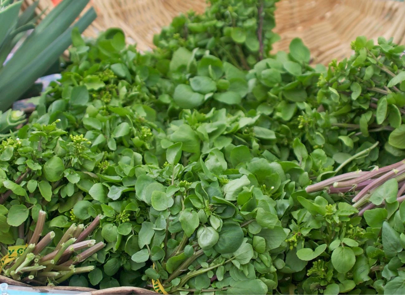 Rukiew wodna nie bez powodu została uznana za najzdrowsze warzywo świata.