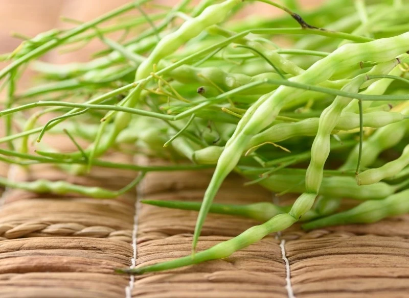 Rzodkiew wężowa jest nie tylko smaczna, ale również bardzo zdrowa