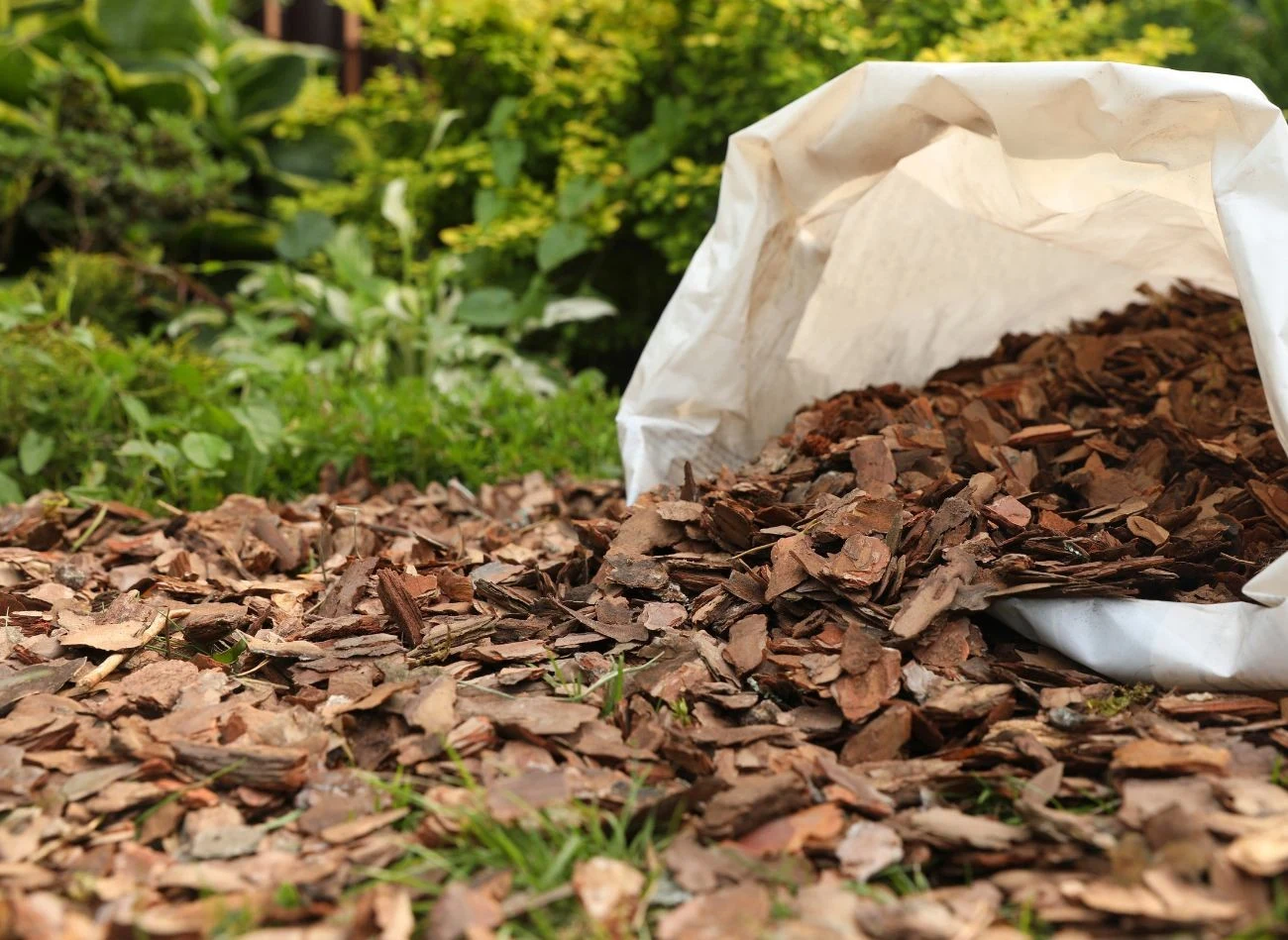 Niewykorzystanie w sezonie grzewczym zrębki mogą posłużyć jako ściółka w ogrodzie.