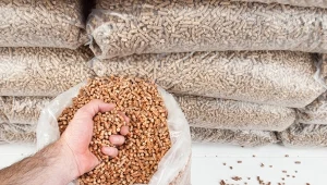 Od czego zależy cena pelletu? Sprawdzamy, ile kosztuje tona opału w styczniu 2025?