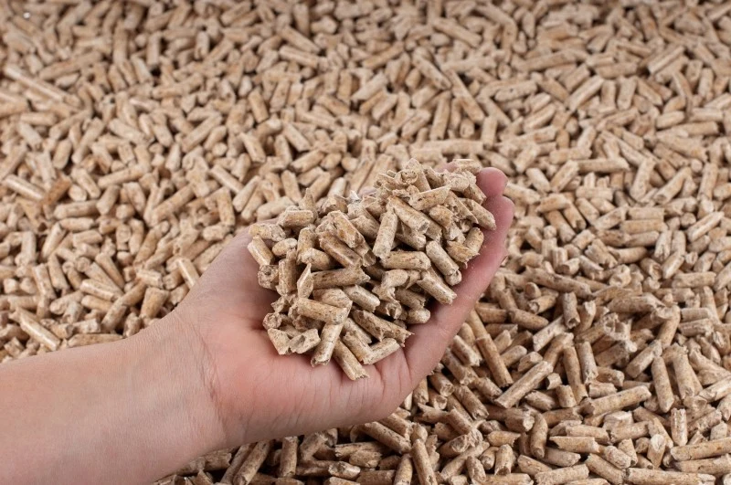 W styczniu 2025 roku ceny pelletu wzrosły w porównaniu do poprzednich miesięcy