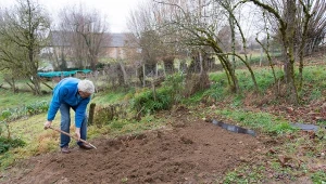 Jak poprawić jakość gleby w zimie? W styczniu i w lutym pamiętajmy o kilku zabiegach.