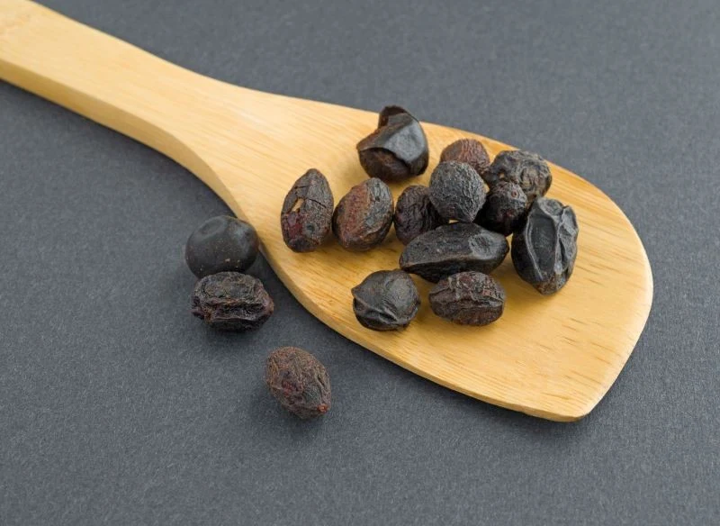 Owoce palmy sabałowej są źródłem związków aktywnych biologicznie