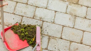 Wyjaśniamy, jak usunąć mech z kostki brukowej tanio i bez chemii.