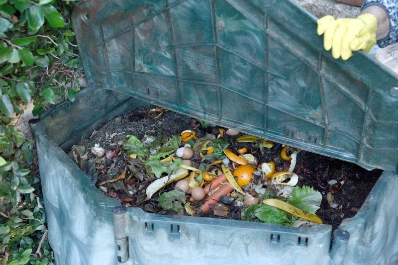 Ile trwa kompostowanie