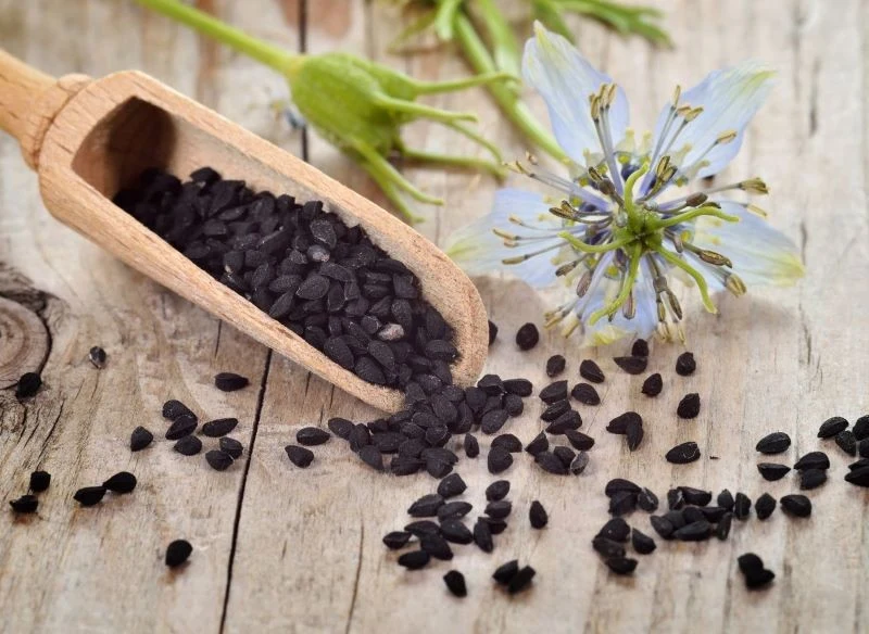 Czarnuszka pomaga na wiele częstych dolegliwości, ale jej stosowanie powinniśmy skonsultować z lekarzem