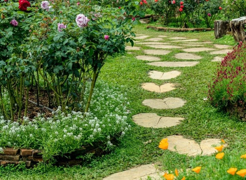 Nie tylko dekoracyjne kruszywo rozsypane jak ściółka pod roślinami ma znaczenie – równie istotne są kamienne ścieżki, ułożone w pobliżu roślin