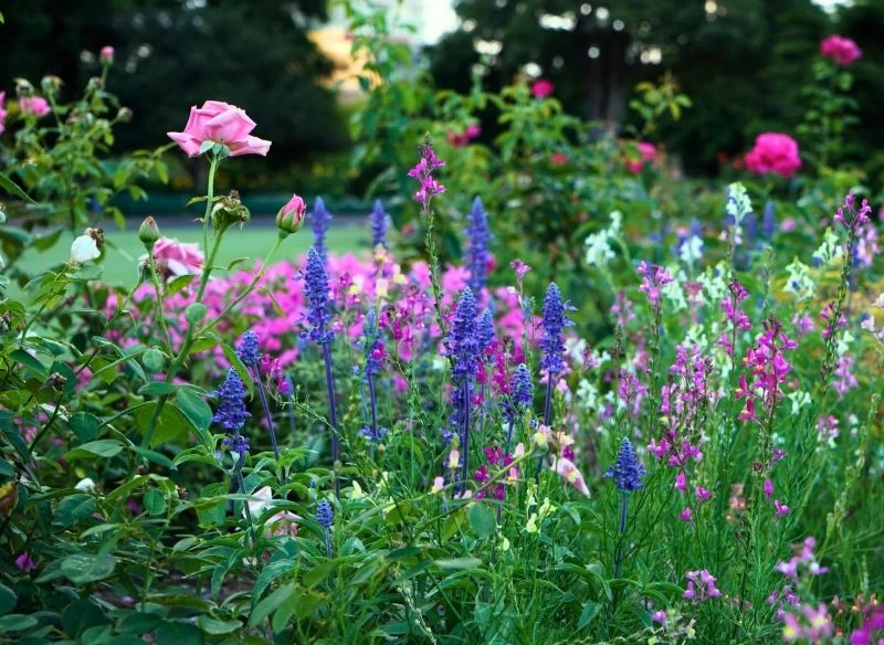 Wiosna w ogrodzie potrafi być równie efektowna, co lato, a nawet bardziej, bo niektóre wiosenne gatunki w barwnych kompozycjach stworzonych na tle ...