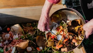 Wyjaśniamy, jaka powinna być temperatura w kompoście zimą.