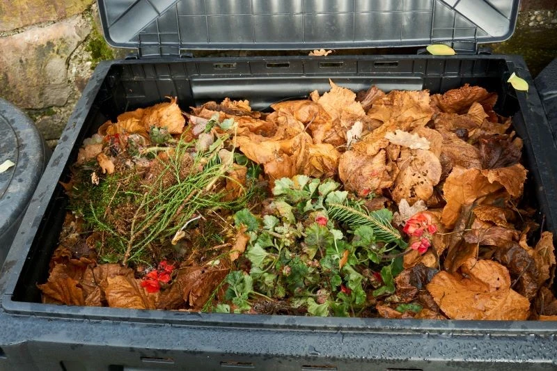 Zarówno przegrzanie, jak i wychłodzenie kompostu, jest niewskazane