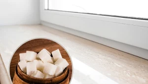 Sąsiadka podsunęła mi kilka patentów na zużycie resztek z cukierniczki. Oto nietypowe zastosowanie cukru - proste i skuteczne. Fot. pixelshot/CanvaPro; masanyanka/123rf.com