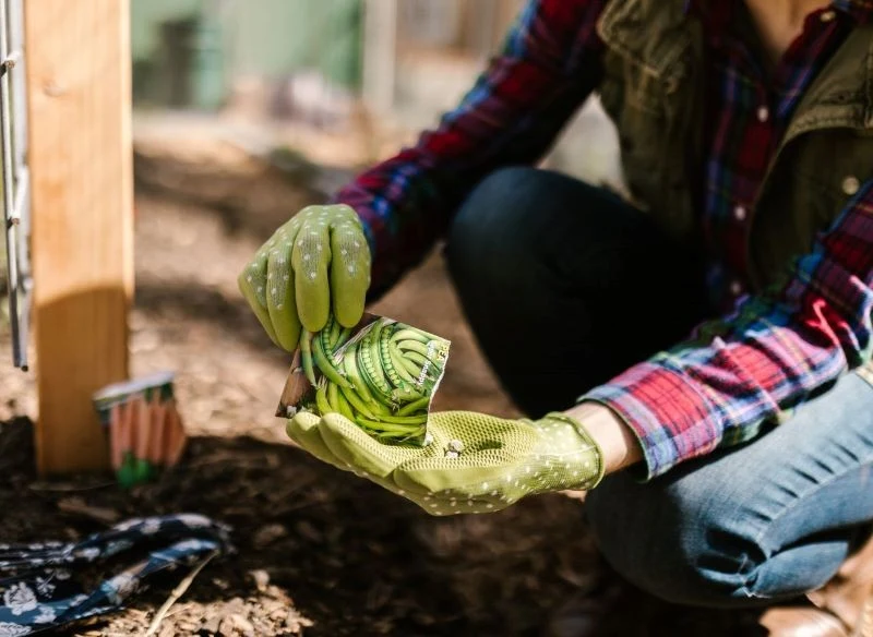 Silica gel jest pomocny w przechowywaniu nasion