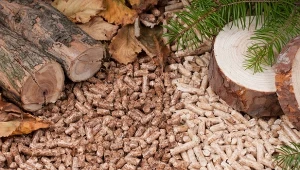 Pellet iglasty czy liściasty - który jest lepszy? Jak wybrać i dopasowac do pieca