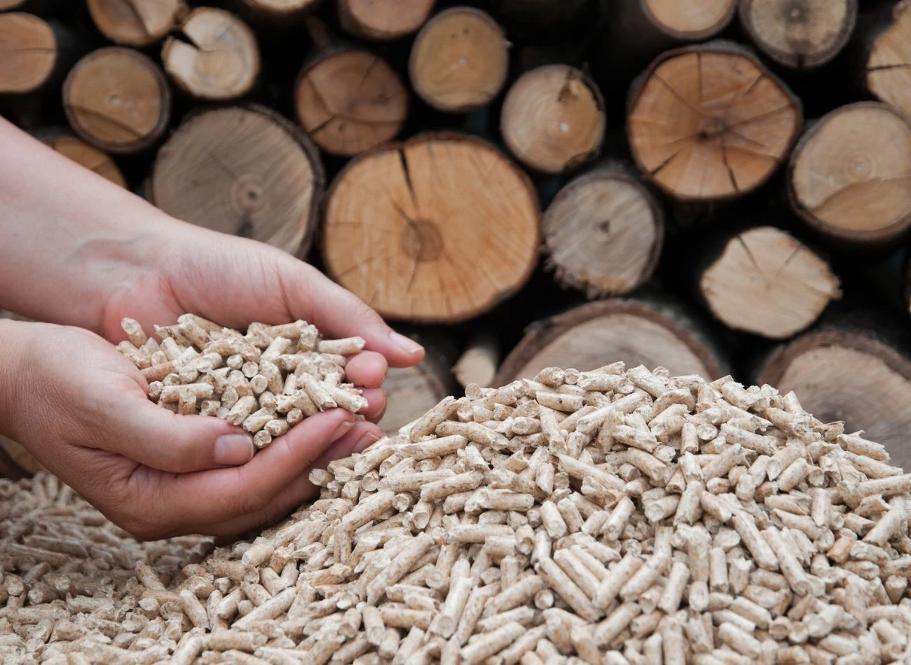 Pellet z drzewa iglastego to najczęściej wybierane paliwo opałowe.