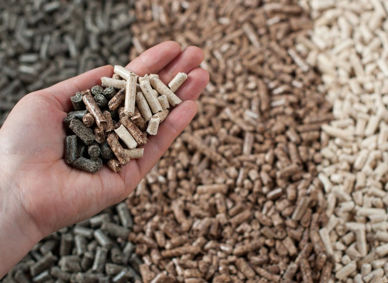 Różnice między pelletem liściastych a iglastym to przede wszystkim koszty, wydajność spalania i utrzymanie czystości kotła.