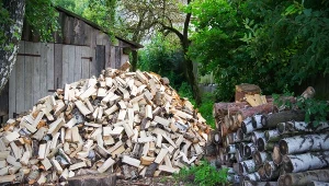 Które drewno jest lepsze do kominka – brzozowe czy klonowe?