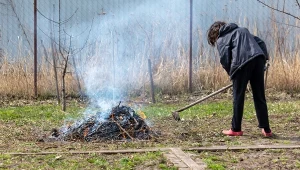 Sprawdź, czy w 2025 r. możesz legalnie spalić gałęzie na działce.