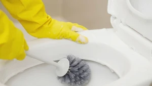 Kamień w toalecie? Można go usunąć, korzystając z domowych metod.