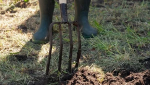 Napowietrzanie gleby zamiast przekopywania. Warto wykonać, zanim spadnie śnieg