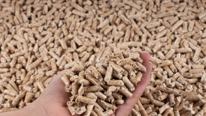 Jak wybrać dobry pellet do ogrzewania domu? Możliwości jest kilka, poznaj właściwości poszczególnych surowców.