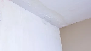 Sprawdź, czym są wykwity solne oraz jak je odróżnić od pleśni i grzyba.