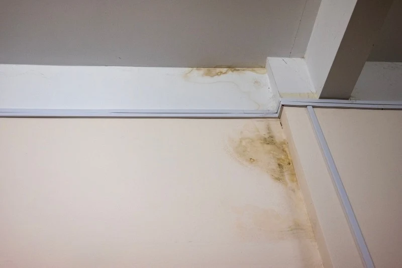 Na zawilgoconych ścianach mogą występować wykwity solne